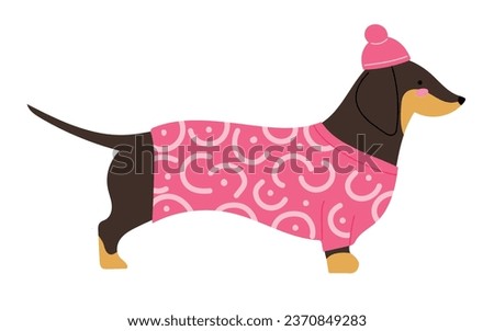 Cute Dachshund wearing warm pink outwear clothes and a hat, for walking outside in cold season. Isolated vector illustration