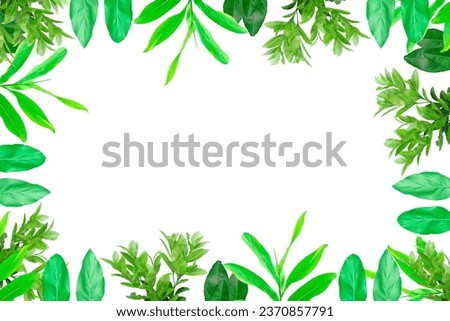 Leaf lemon frame arranged into picture frames, frame Leaf lemon, leaf picture, bright green, natural leaf color.