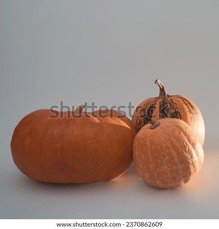 Squar photo ofthree big orange Halloween pumpkins on a white background