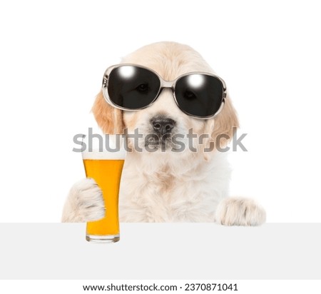 Golden retriever puppy with light beer peeking above white banner. isolated on white background