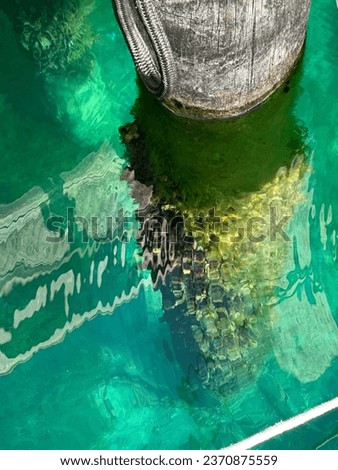 Dock pillion going into the water Royalty-Free Stock Photo #2370875559