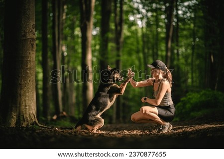 Friendship with a dog adopted from a shelter. A dog and its owner in the forest.