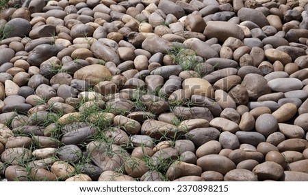 a close up of a pile of rocks.