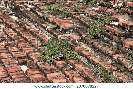 a small patch of grass growing out of the bricks.