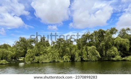 trees on the banks of the river.