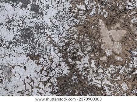 texture of a dirty wall - - stock photo #.