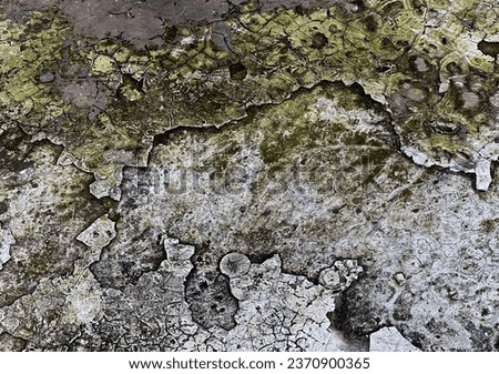 the texture of the wall of an old building in the old town of pompeii..