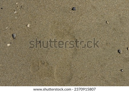 footprint of a bare foot of a man on the beach near the sea