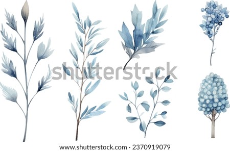 Vector set of watercolours blue winter leaves, clip-art