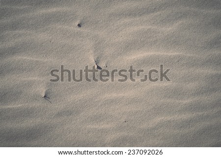 A background texture of unrefined, damp and grainy natural golden sand. - retro, vintage style look