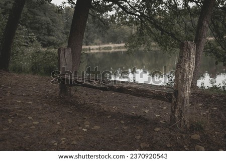 Autumn walk. Rest by the water. Silence on the lake. The beauty of autumn nature. A wooden bench. Landscape in sepia. A wooden bench on the shore of the lake in autumn.