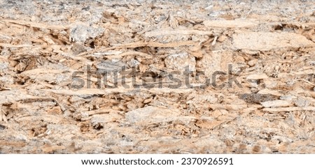 Macrophotography of the edge of a melamine panel Royalty-Free Stock Photo #2370926591
