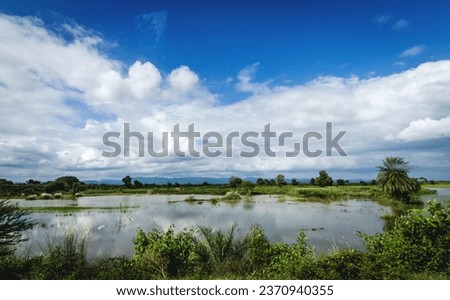 Nature royalty-free images At Nature Picture Library we believe passionately in the importance of nature conservation. 