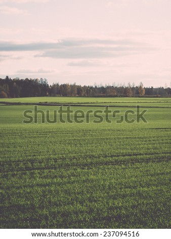 green field with trees in the autumn in country - retro, vintage style look