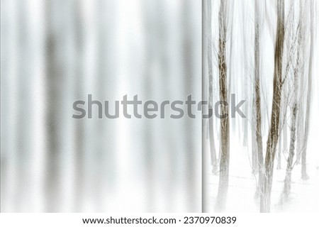Winter and forest. Photo with a frosted glass effect applied to one side. presentation, card, poster etc. ready-to-use image.
