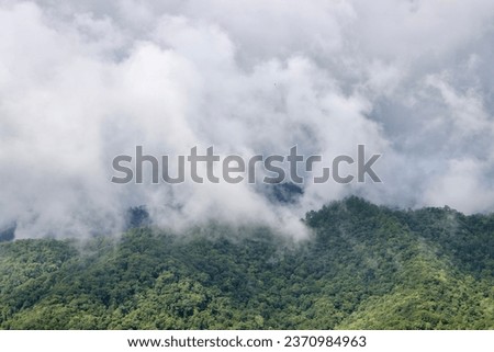 Misty clouds above the hills in a jungle