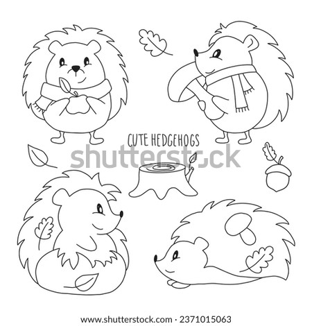 Set of cute funny little autumn hedgehog isolated on white background in cartoon style. Cute forest animals. Wild nature. For tags, stickers, patterns, banners, coloring page. Vector outline