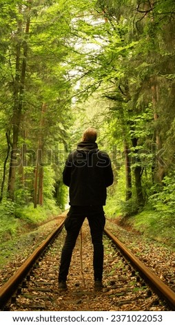 what a nice view on a wonderful autmn day in the woods. An old railroad i founded between the trees in this forest, it is an awesome picture.