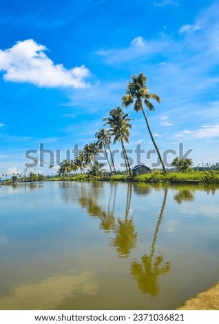 Kadamakkudy Landscapes, blue sky, cheena vala, sun set Royalty-Free Stock Photo #2371036821