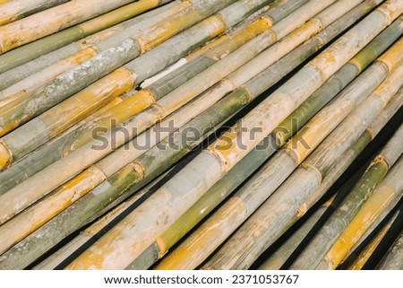 Large sticks made of bamboo side view