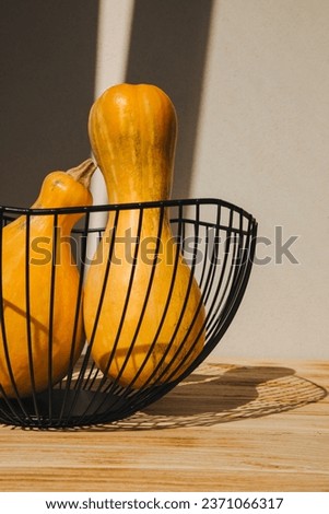 Yellow pumpkins in black deep bowl on a light background. Autumn composition. Halloween background. Front view