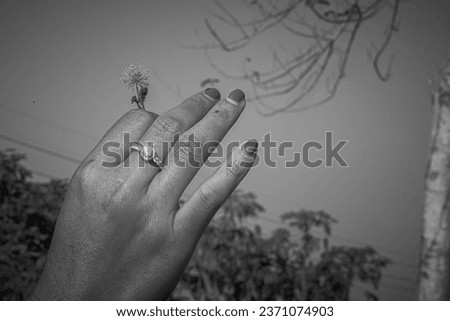 a woman's hand holding a flower between her fingers.