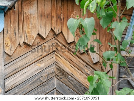 Background image with a fragment of a wooden Russian hut and lilac leaves