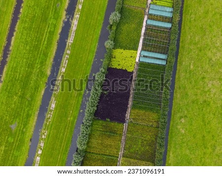 Top view picture of Agriculture in Boskoop in the Netherlands