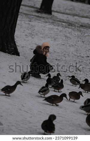 Little girl feeding ducks in the park.