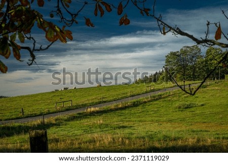 Autumn morning near Krasno village with color fresh fall pasture land and forest