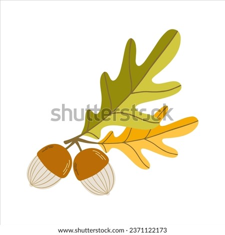 Clip art of doodle oak leaves and acorns on isolated background. Hand drawn background for Autumn harvest holiday, Thanksgiving, Halloween, seasonal, textile, scrapbooking.

