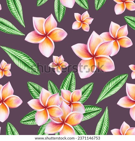 Watercolor seamless pattern with realistic tropical illustration of plumeria flowers with leaves isolated on white background. Beautiful botanical hand painted frangipani clip art. For designers, spa 