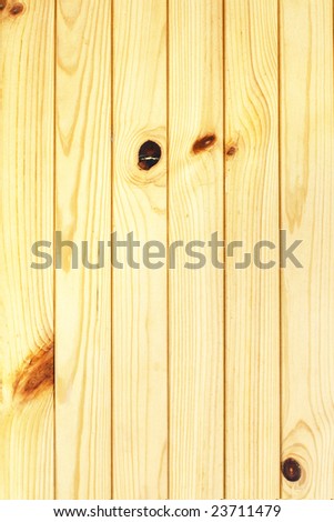Pine panels texture