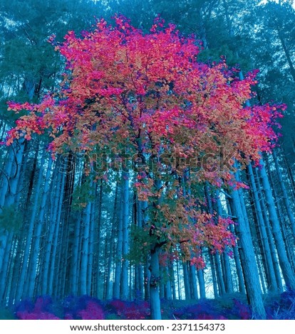 Purple tree with blue, green background 
