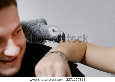 A large African parrot sits on the shoulder of a young laughing man and bites the hand of another person in a home interior. Love between man and animals, caring for a pet. Playing with a bird Royalty-Free Stock Photo #2371177863