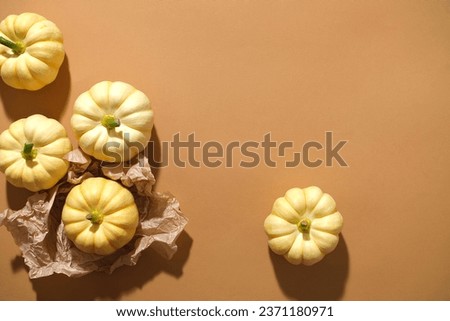 Against the brown background, mini pumpkins displayed, create blank space for design or add text. Top view. Autumn decorations. Background for advertising