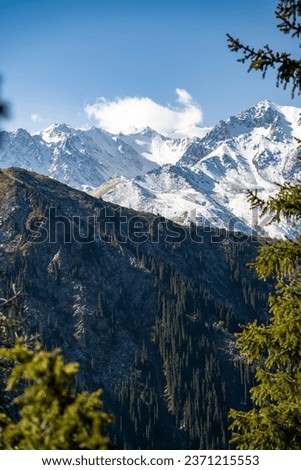 autumn in the foothills. snowy mountain peaks. forest at the foot of the mountains