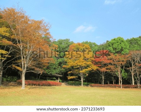 21st century forest and plaza landscape with autumn yellow leaves and gazebo
