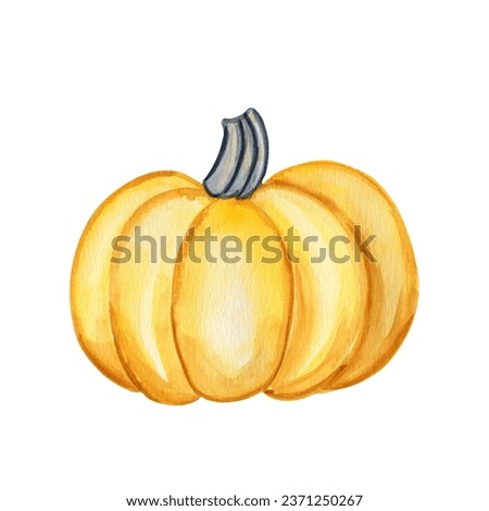 Pumpkin orange watercolor illustration. Isolated hand drawn image of an autumn vegetable. For packaging and menu design.