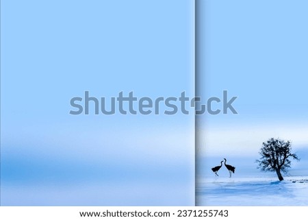 Cranes. Photo with a frosted glass effect applied to one side. Presentation, card, poster etc. ready-to-use image.