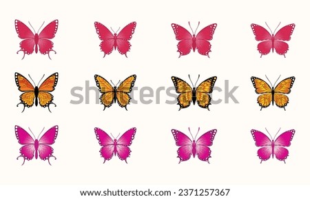 Big collection of colorful butterflies. Vector set