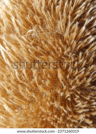 soft hair texture. Natural fur background. Natural fur shining background
