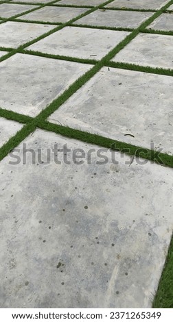 Cement Floor Terrace with grass