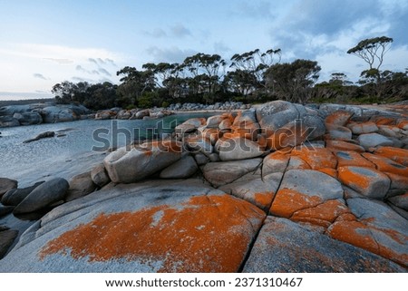 Experience the magic of Bay of Fires in Tasmania at sunset, where nature paints a breathtaking canvas with vibrant colors, a photographer's dream and nature lover's paradise.