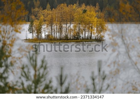Small island with autumn colors in a little lake in Sweden. The photo was taken in Hälsingland September 2023. In connection with the picture being taken, it started to rain.