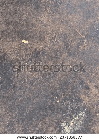 a photography of a bird standing on a dirty ground with a leaf in the background, there is a bird that is standing on the ground.