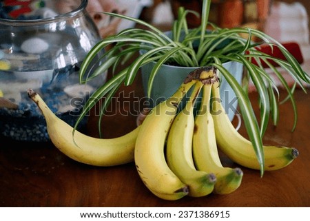 Banana and potted plant on a wooden table. Selective focus.