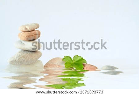 spa stones with green leaf on white background, meditation,harmony,yoga wellness concept,free copy space