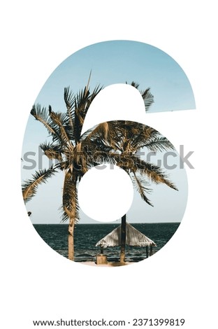 number 6 with a picture of a coconut tree