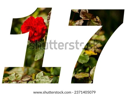 number 17 with a picture of a rose